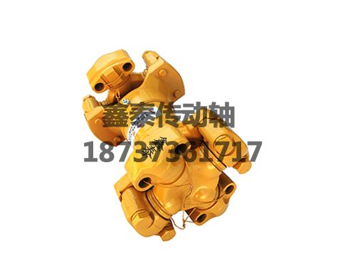 廈工956后傳