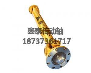 廈工953前傳