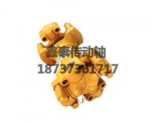 廈工956后傳